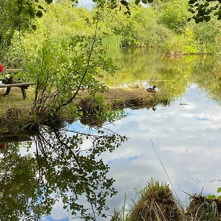 Nordic-Style Summer House With Private Lake