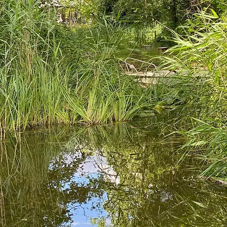 Nordic-Style Summer House With Private Lake Frorup