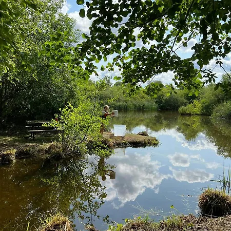 Nordic-style Summer House With Private