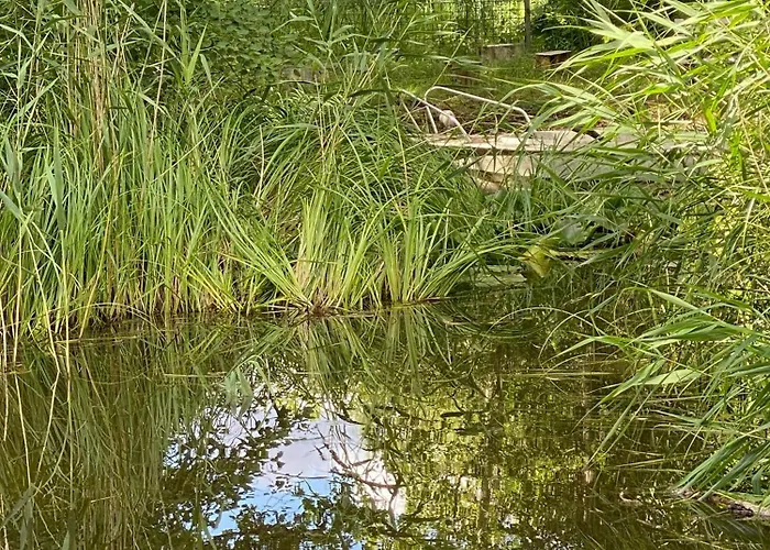 Nordic-style Summer House With Private Semesterbostad Frorup