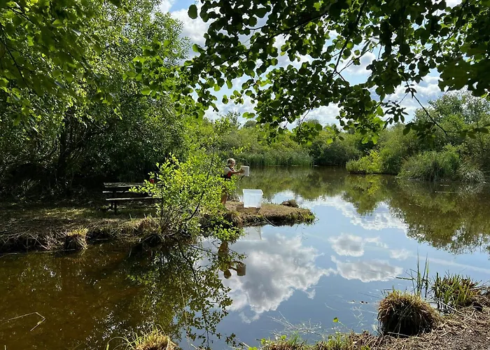 Nordic-style Summer House With Private